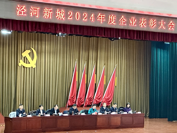 陜西涇誠朗筑榮獲“涇河新城2024年度惠民生保穩定優秀企業”