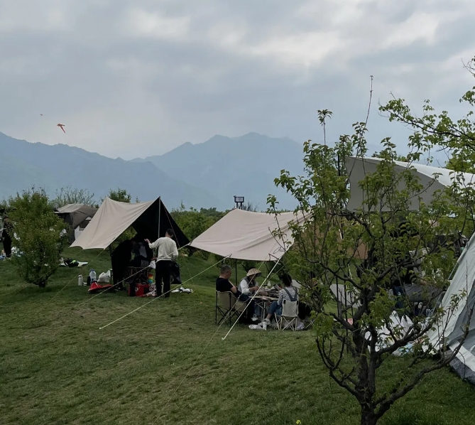 微信截圖_20240508135737.png